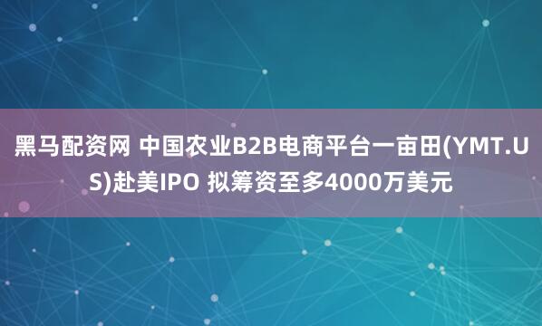 黑马配资网 中国农业B2B电商平台一亩田(YMT.US)赴美IPO 拟筹资至多4000万美元